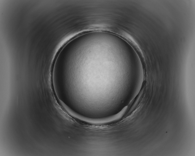 X0000088381336200705221046