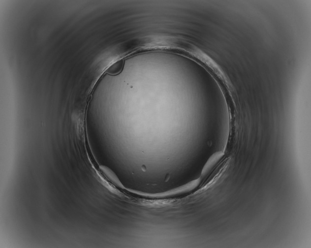 X0000088381337200705221046
