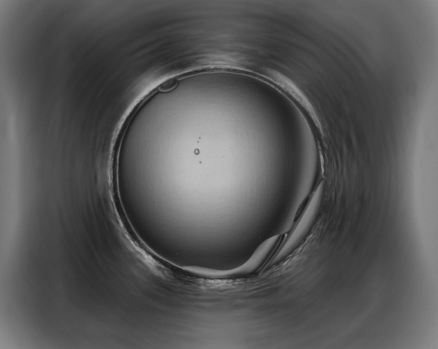 X0000088381339200705221046
