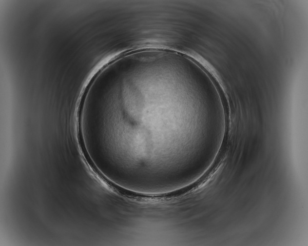 X0000088381341200705221046