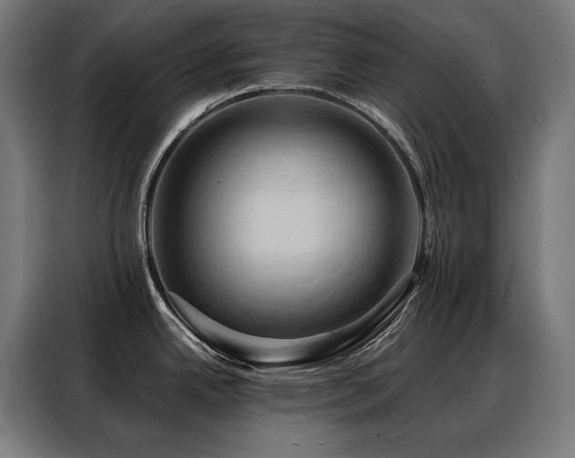 X0000088381342200705221046