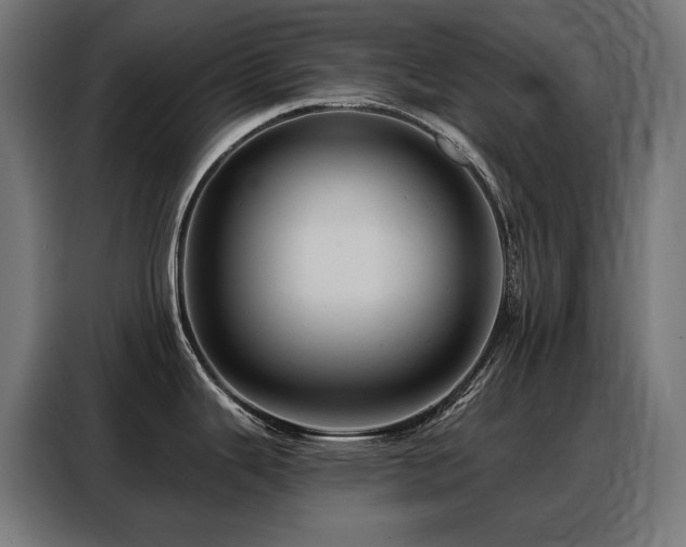 X0000088381343200705221046