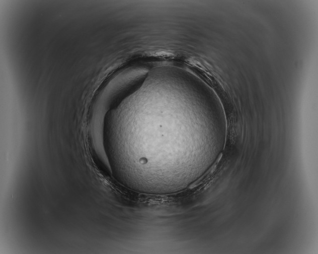 X0000088381345200705221045