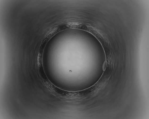 X0000088381346200705221045