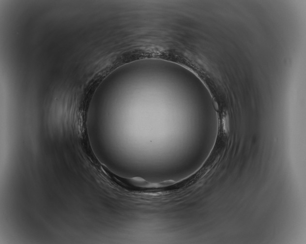 X0000088381347200705221045