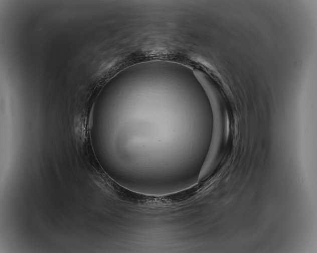 X0000088381348200705221045