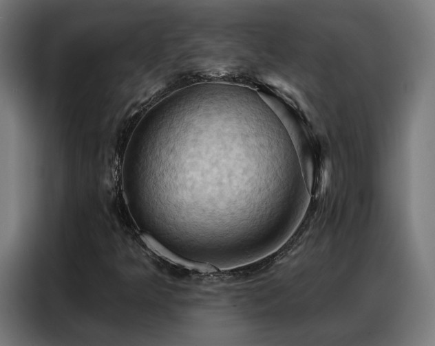 X0000088381349200705221045