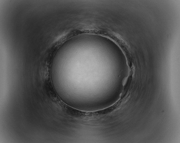 X0000088381350200705221045