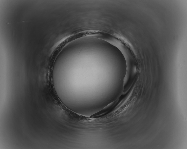X0000088381352200705221045