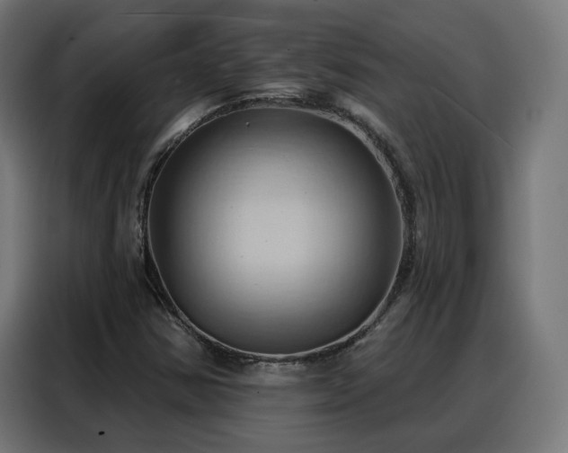 X0000088381354200705221045
