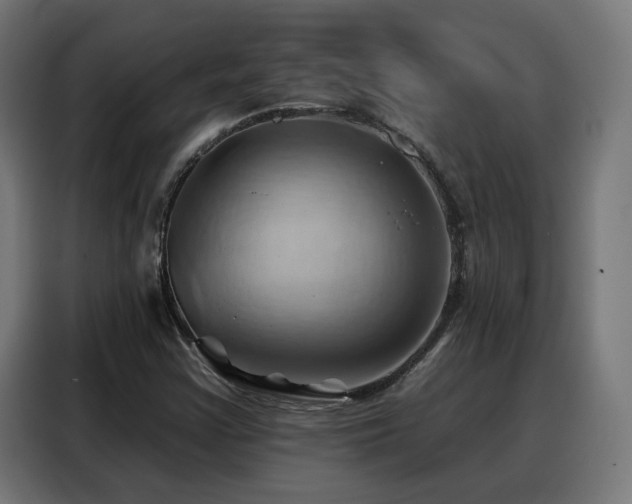 X0000088381355200705221045