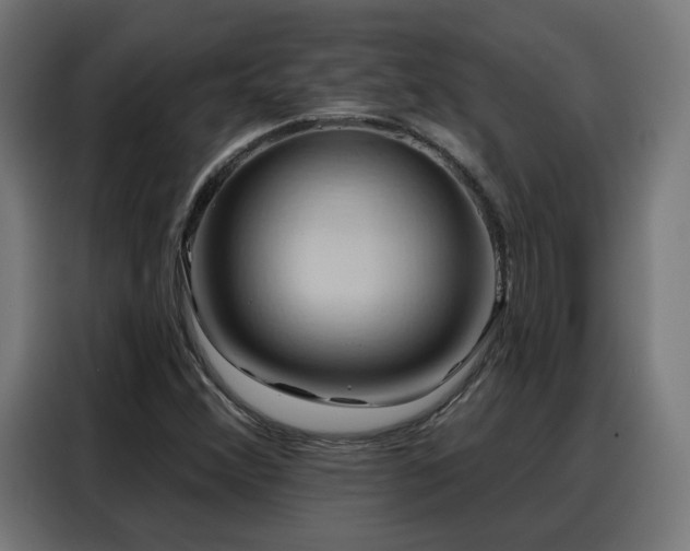 X0000088381356200705221045
