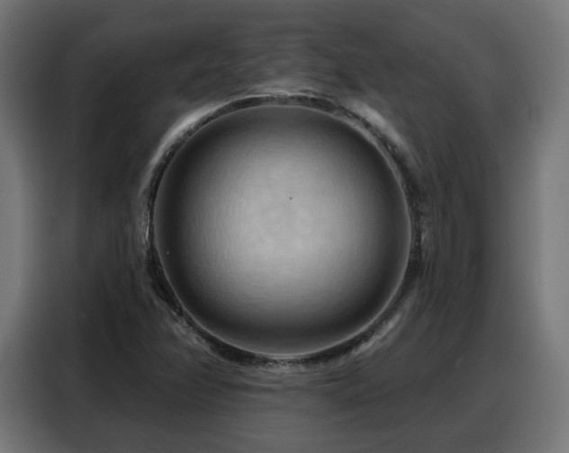 X0000088381358200705221045