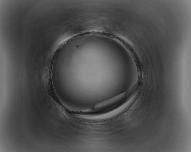 X0000088381359200705221045