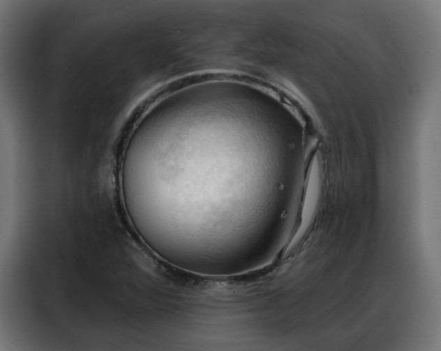 X0000088381360200705221045