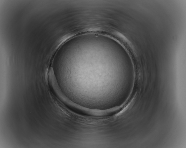 X0000088381361200705221045
