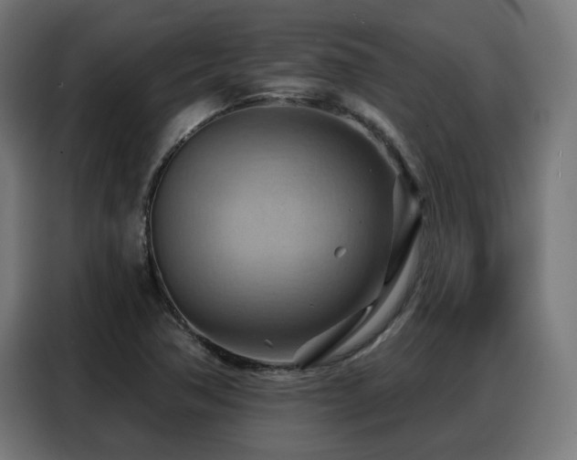 X0000088381362200705221045