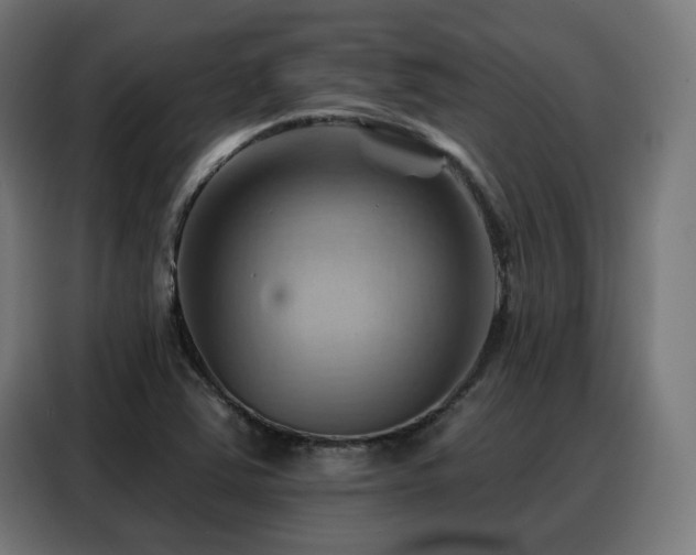 X0000088381363200705221045