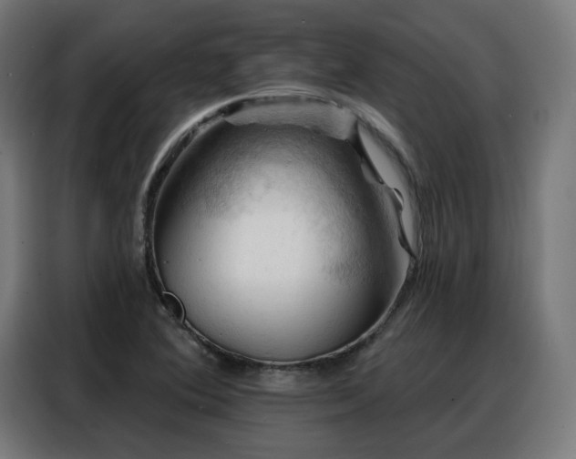 X0000088381364200705221045