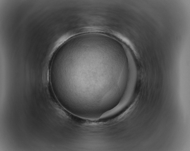 X0000088381365200705221045