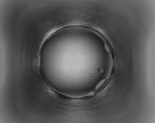 X0000088381366200705221045