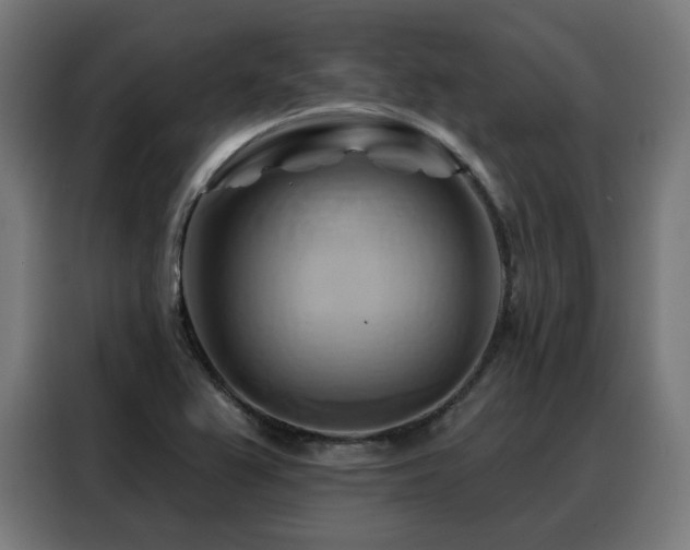 X0000088381367200705221045