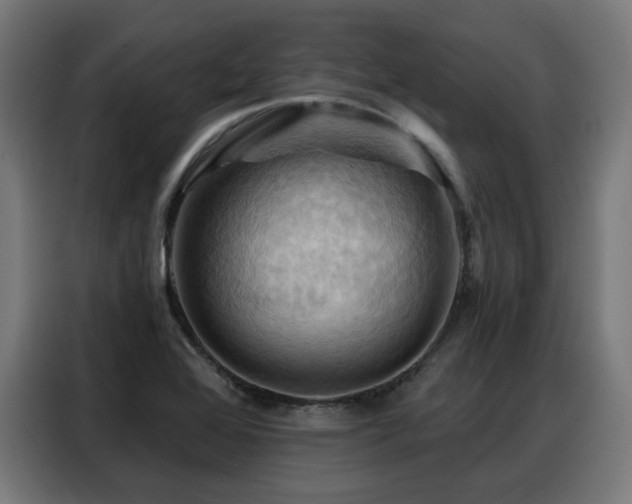 X0000088381368200705221045