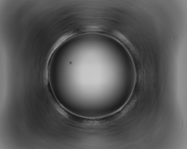 X0000088381370200705221045