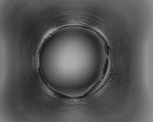 X0000088381371200705221045
