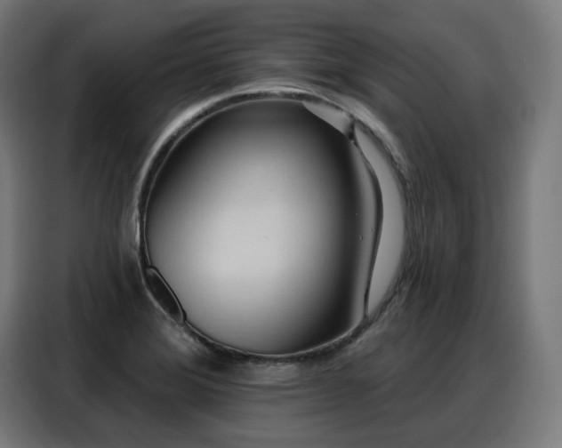 X0000088381372200705221045