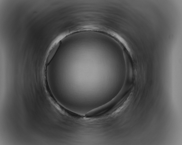 X0000088381373200705221045
