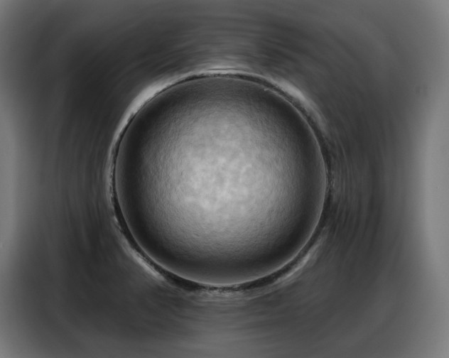 X0000088381374200705221045