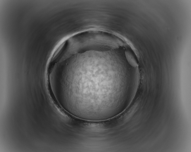 X0000088381375200705221044