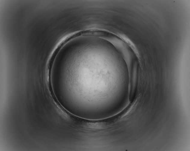 X0000088381376200705221044