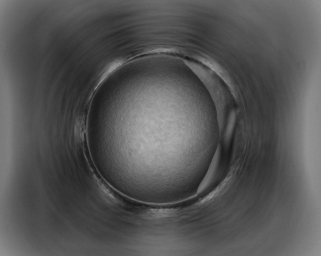 X0000088381377200705221044