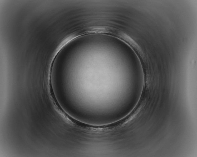 X0000088381378200705221044