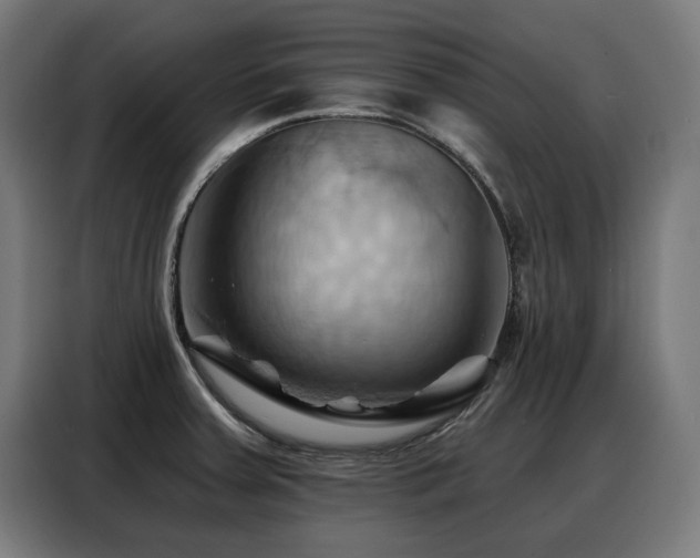 X0000088381379200705221044