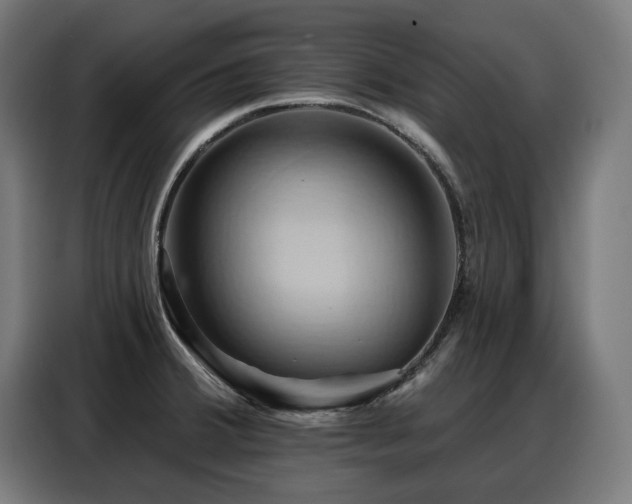 X0000088381380200705221044