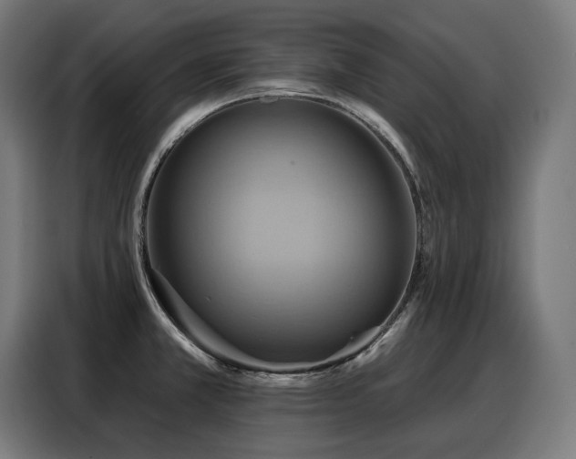 X0000088381381200705221044