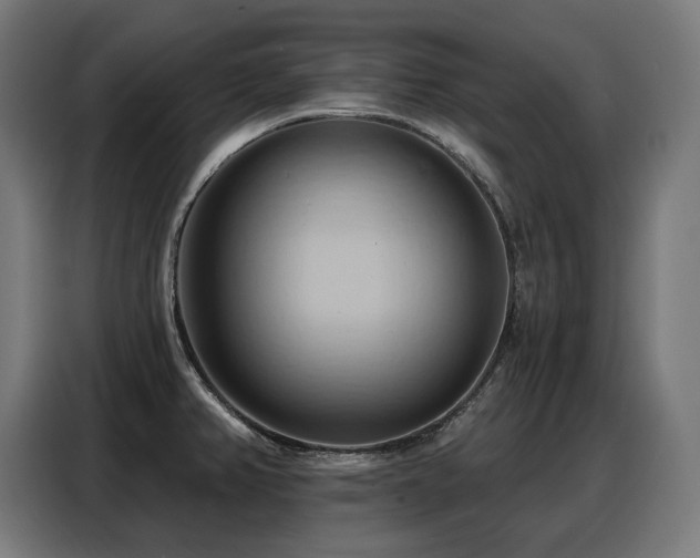X0000088381382200705221044