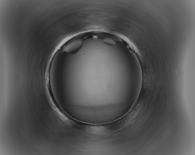 X0000088381383200705221044