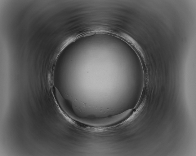 X0000088381385200705221044