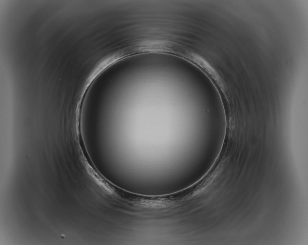 X0000088381386200705221044