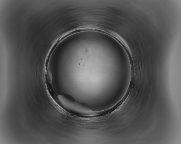 X0000088381388200705221044