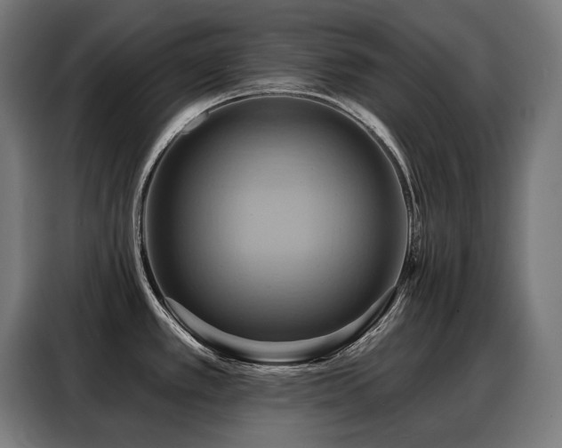 X0000088381389200705221044