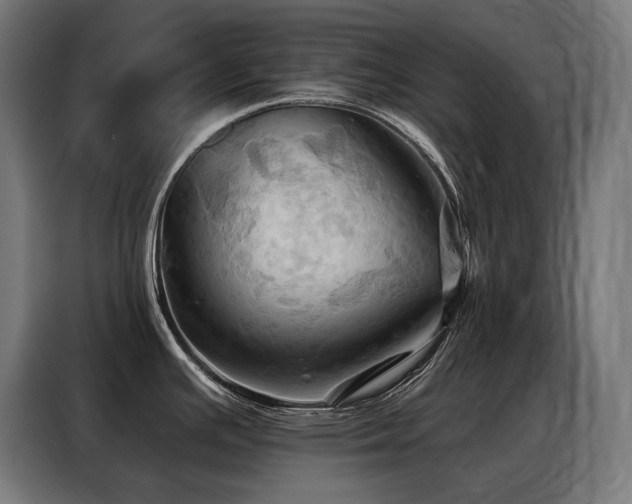 X0000088381391200705221044