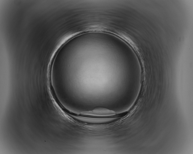 X0000088381392200705221044