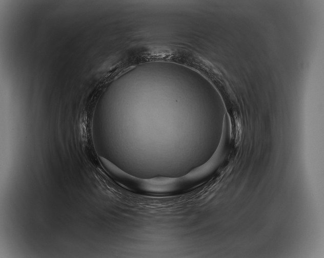 X0000088381394200705221044