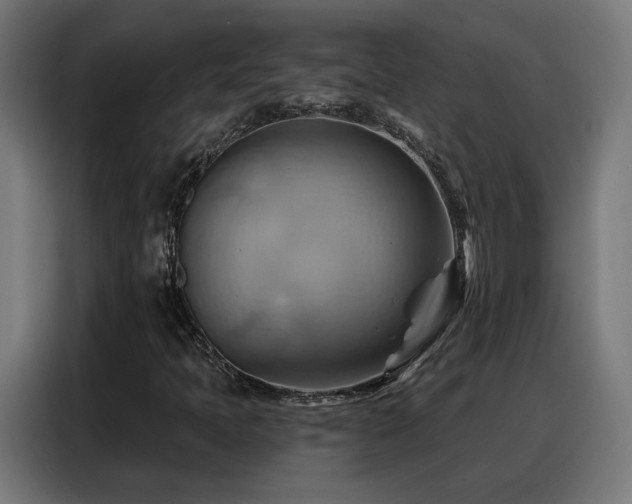X0000088381397200705221044