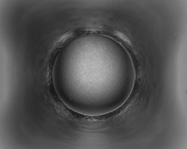 X0000088381398200705221044